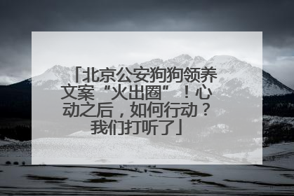 北京公安狗狗领养文案“火出圈”！心动之后，如何行动？我们打听了