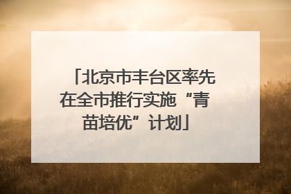 北京市丰台区率先在全市推行实施“青苗培优”计划