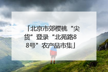 北京市郊樱桃“尖货”登录“北苑路88号”农产品市集