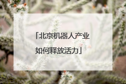 北京机器人产业如何释放活力