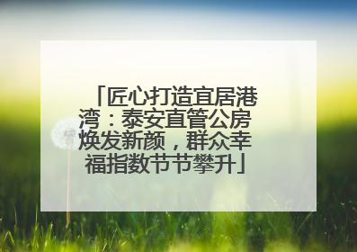 匠心打造宜居港湾：泰安直管公房焕发新颜，群众幸福指数节节攀升