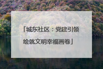 城东社区：党建引领绘就文明幸福画卷