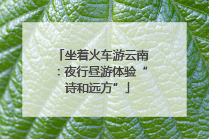 坐着火车游云南：夜行昼游体验“诗和远方”