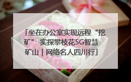 坐在办公室实现远程“挖矿” 实探攀枝花5G智慧矿山｜网络名人四川行