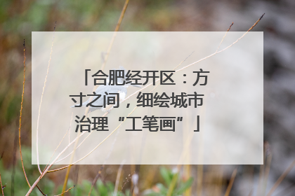 合肥经开区：方寸之间，细绘城市治理“工笔画”