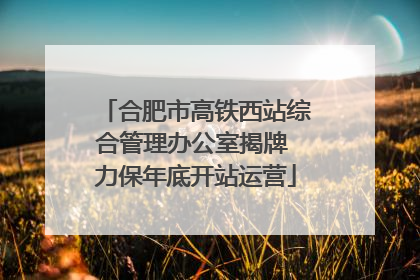 合肥市高铁西站综合管理办公室揭牌 力保年底开站运营