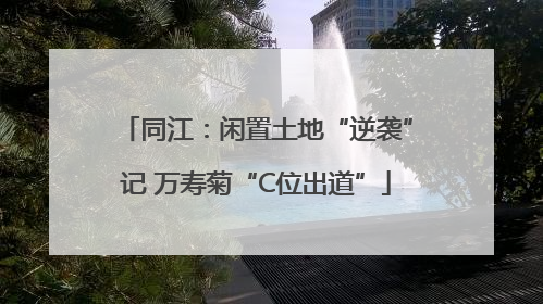 同江：闲置土地“逆袭”记 万寿菊“C位出道”