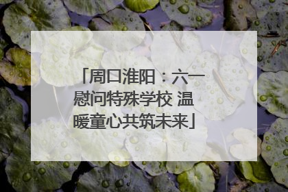 周口淮阳：六一慰问特殊学校 温暖童心共筑未来