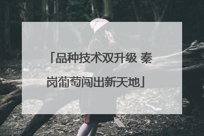 品种技术双升级 秦岗葡萄闯出新天地
