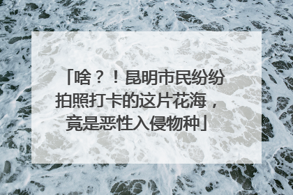 啥？！昆明市民纷纷拍照打卡的这片花海，竟是恶性入侵物种