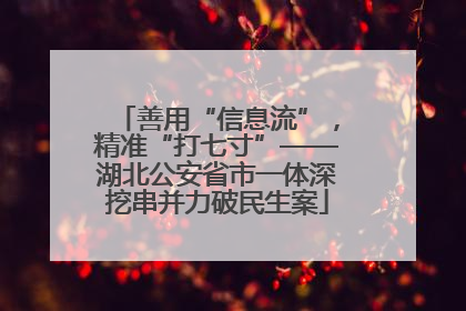善用“信息流”，精准“打七寸”——湖北公安省市一体深挖串并力破民生案
