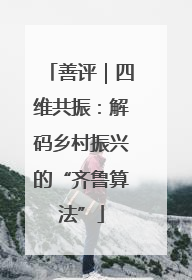 善评｜四维共振：解码乡村振兴的“齐鲁算法”