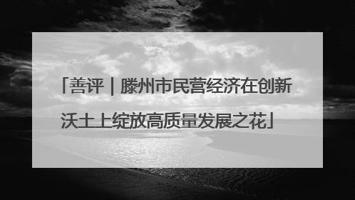 善评｜滕州市民营经济在创新沃土上绽放高质量发展之花