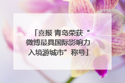 喜报 青岛荣获“微博最具国际影响力入境游城市”称号