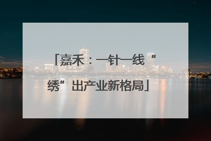 嘉禾：一针一线“绣”出产业新格局