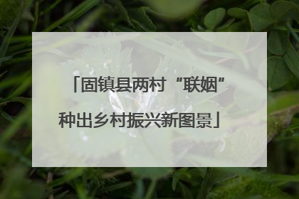 固镇县两村“联姻”种出乡村振兴新图景