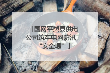 国网平舆县供电公司筑牢电网防汛“安全堤”