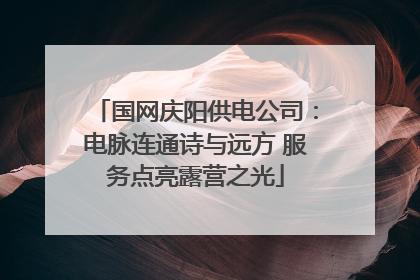 国网庆阳供电公司：电脉连通诗与远方 服务点亮露营之光