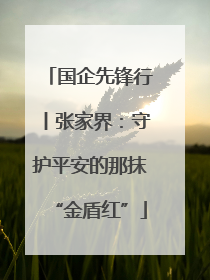 国企先锋行丨张家界：守护平安的那抹“金盾红”