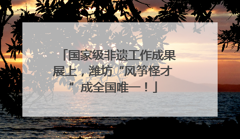 国家级非遗工作成果展上，潍坊“风筝怪才”成全国唯一！