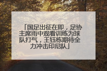 国足出征在即，足协主席雨中观看训练为球队打气，王钰栋期待全力冲击印尼队