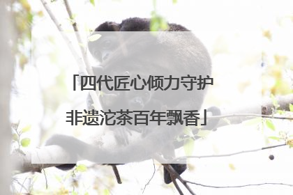 四代匠心倾力守护 非遗沱茶百年飘香