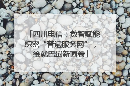 四川电信：数智赋能织密“普遍服务网”，绘就巴蜀新画卷