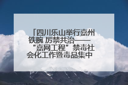 四川乐山举行嘉州铁腕 厉禁共治——“嘉网工程”禁毒社会化工作暨毒品集中销毁启动仪式