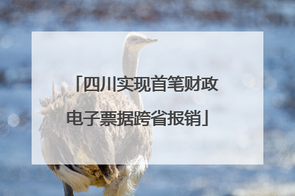 四川实现首笔财政电子票据跨省报销