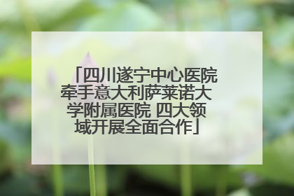 四川遂宁中心医院牵手意大利萨莱诺大学附属医院 四大领域开展全面合作