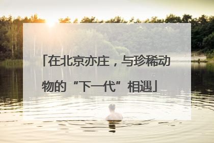 在北京亦庄，与珍稀动物的“下一代”相遇
