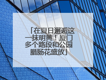 在夏日邂逅这一抹明黄！厦门多个路段和公园腊肠花盛放