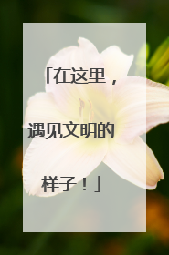 在这里，遇见文明的样子！