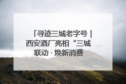 寻迹三城老字号｜西安酒厂亮相“三城联动 · 焕新消费”老字号嘉年华 共话品牌传承与创新