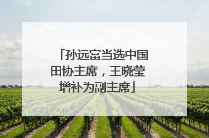 孙远富当选中国田协主席，王晓莹增补为副主席