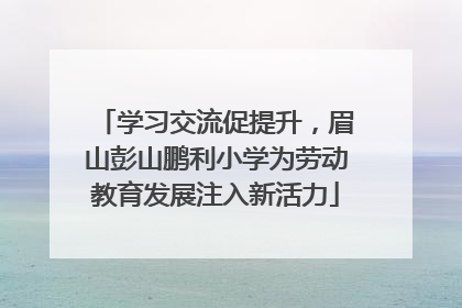 学习交流促提升，眉山彭山鹏利小学为劳动教育发展注入新活力