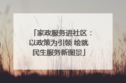 家政服务进社区：以政策为引领 绘就民生服务新图景