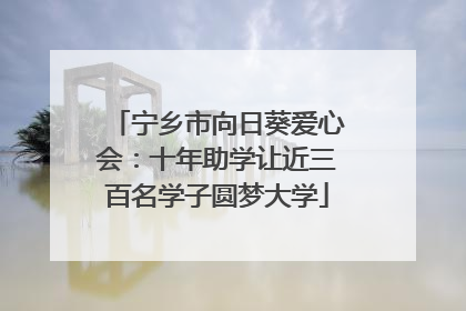 宁乡市向日葵爱心会：十年助学让近三百名学子圆梦大学