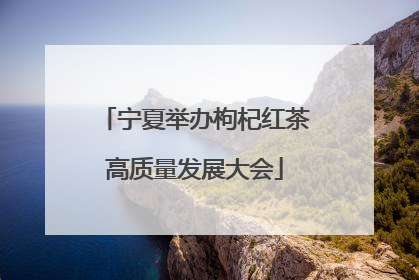 宁夏举办枸杞红茶高质量发展大会
