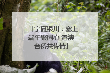 宁夏银川：塞上端午聚同心 港澳台侨共传情