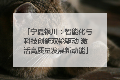 宁夏银川：智能化与科技创新双轮驱动 激活高质量发展新动能
