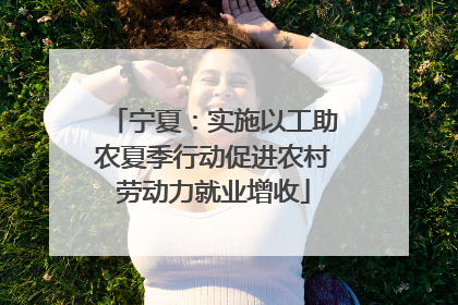 宁夏：实施以工助农夏季行动促进农村劳动力就业增收