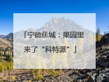 宁德蕉城：果园里来了“科特派”