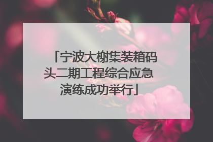 宁波大榭集装箱码头二期工程综合应急演练成功举行