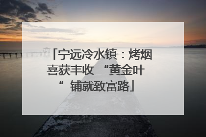 宁远冷水镇：烤烟喜获丰收 “黄金叶”铺就致富路