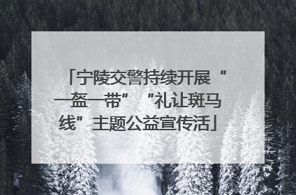 宁陵交警持续开展“一盔一带”“礼让斑马线”主题公益宣传活