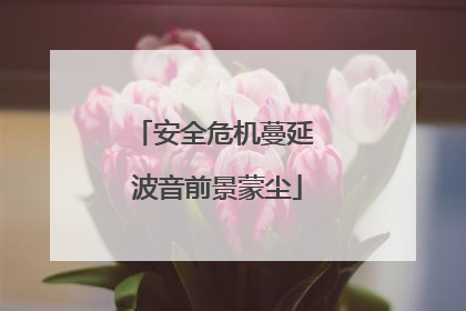 安全危机蔓延 波音前景蒙尘