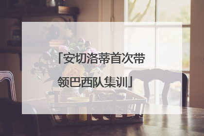 安切洛蒂首次带领巴西队集训