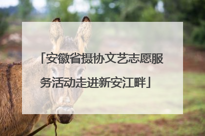 安徽省摄协文艺志愿服务活动走进新安江畔