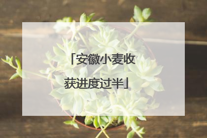 安徽小麦收获进度过半